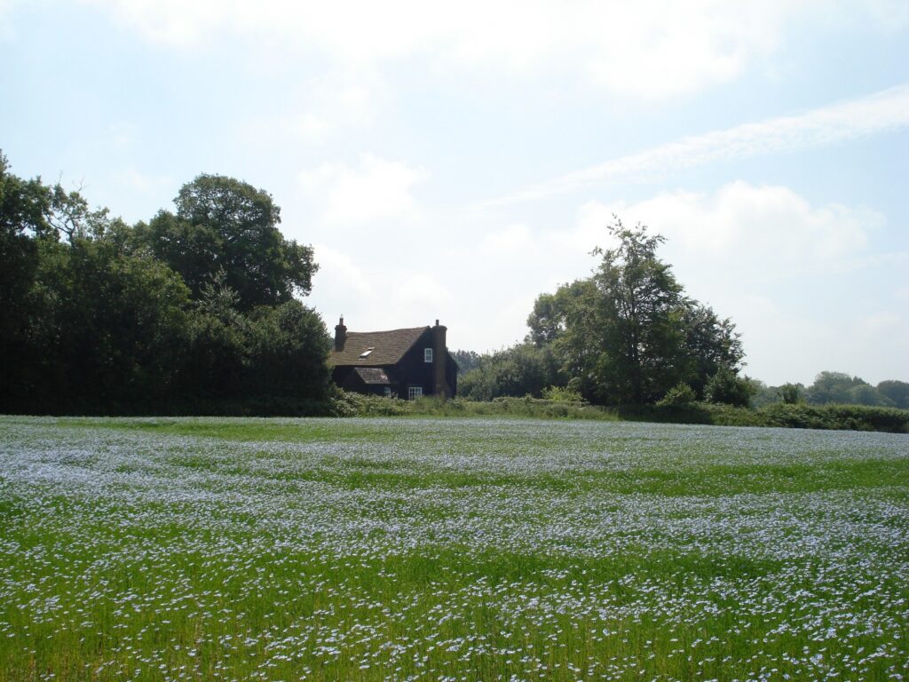 Black Cottage